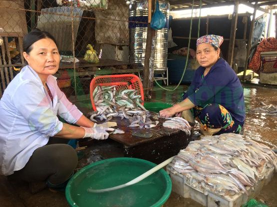 Thanh Hóa: Đầu hè nắng gắt, ngư dân phấn khởi ra khơi bám biển